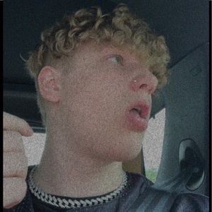 Meet your Posher, Brady